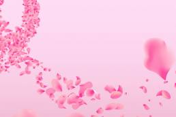 Breast cancer awareness - Therapixel